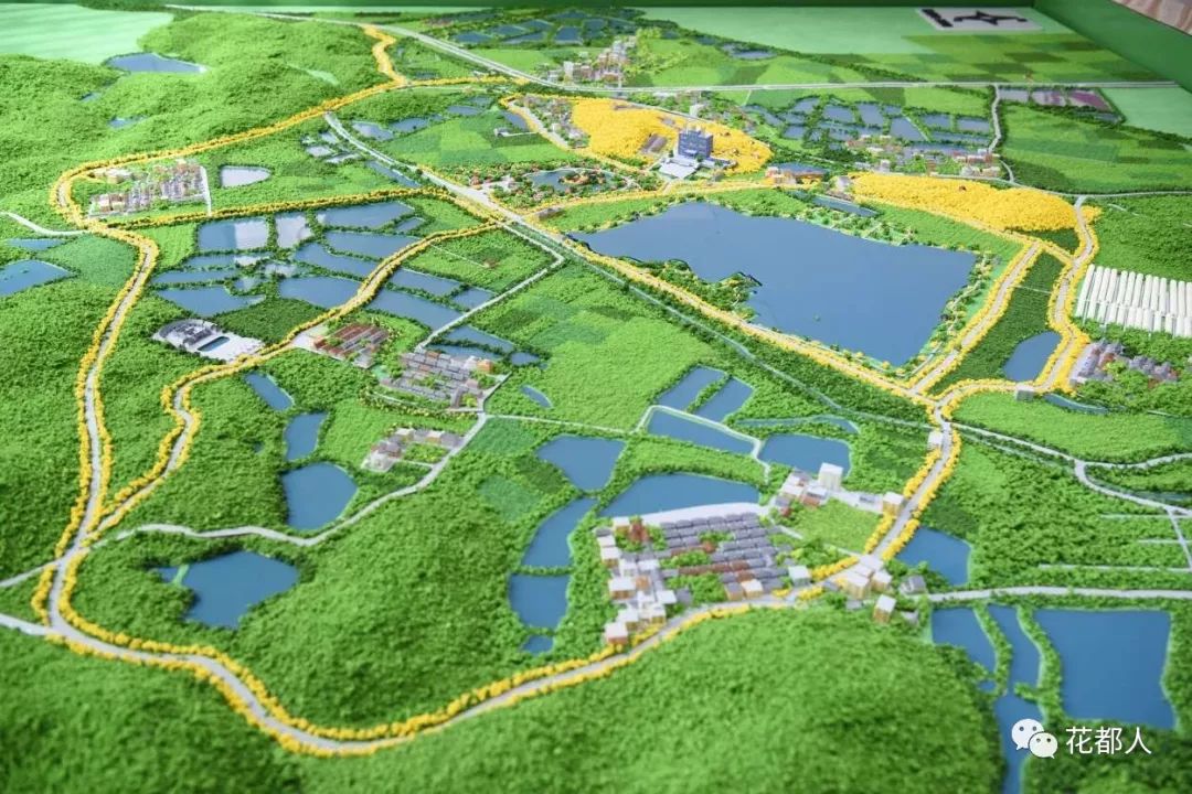 竹洞村全景图6月18日早上,花都区西北部的赤坭镇竹洞村,刚下了一场雨