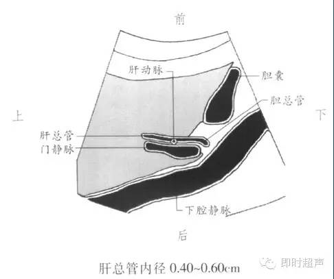 膽道系統胰腺超聲檢查基礎及標準切面