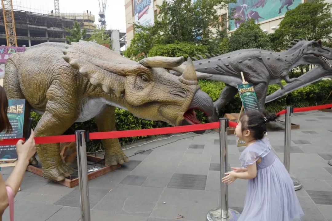 徐州市中心来了14只恐龙占领中央百大就喜欢和小朋友