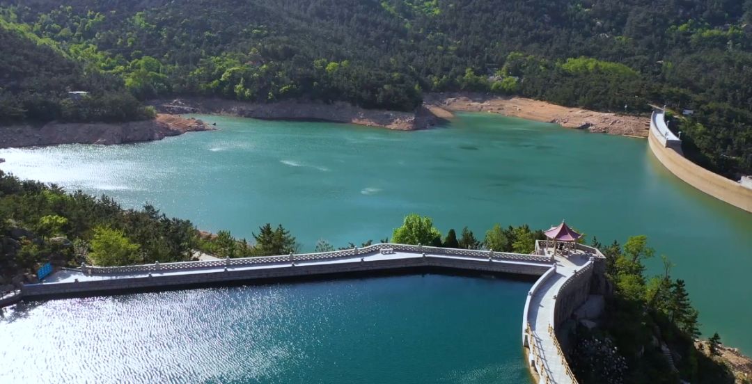 美丽乡村千亩茶田万里飘香晓望村