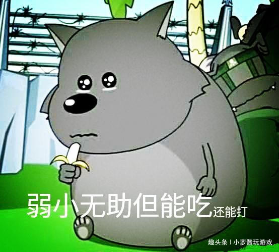 ig蕉太狼成为人生赢家mvp赛后采访应援物品我全都要