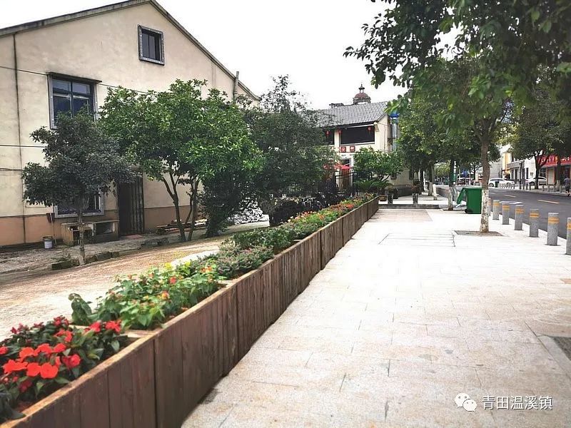 温溪蝶变三精品街处州街温中路