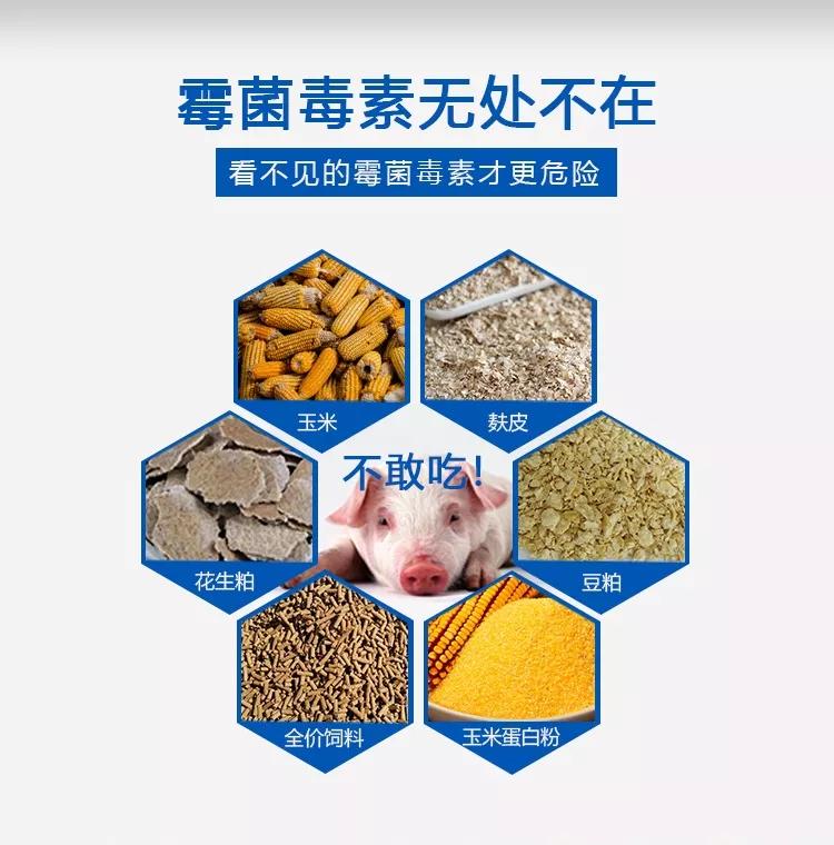 今日问答为什么要在饲料中添加霉菌毒素吸附剂