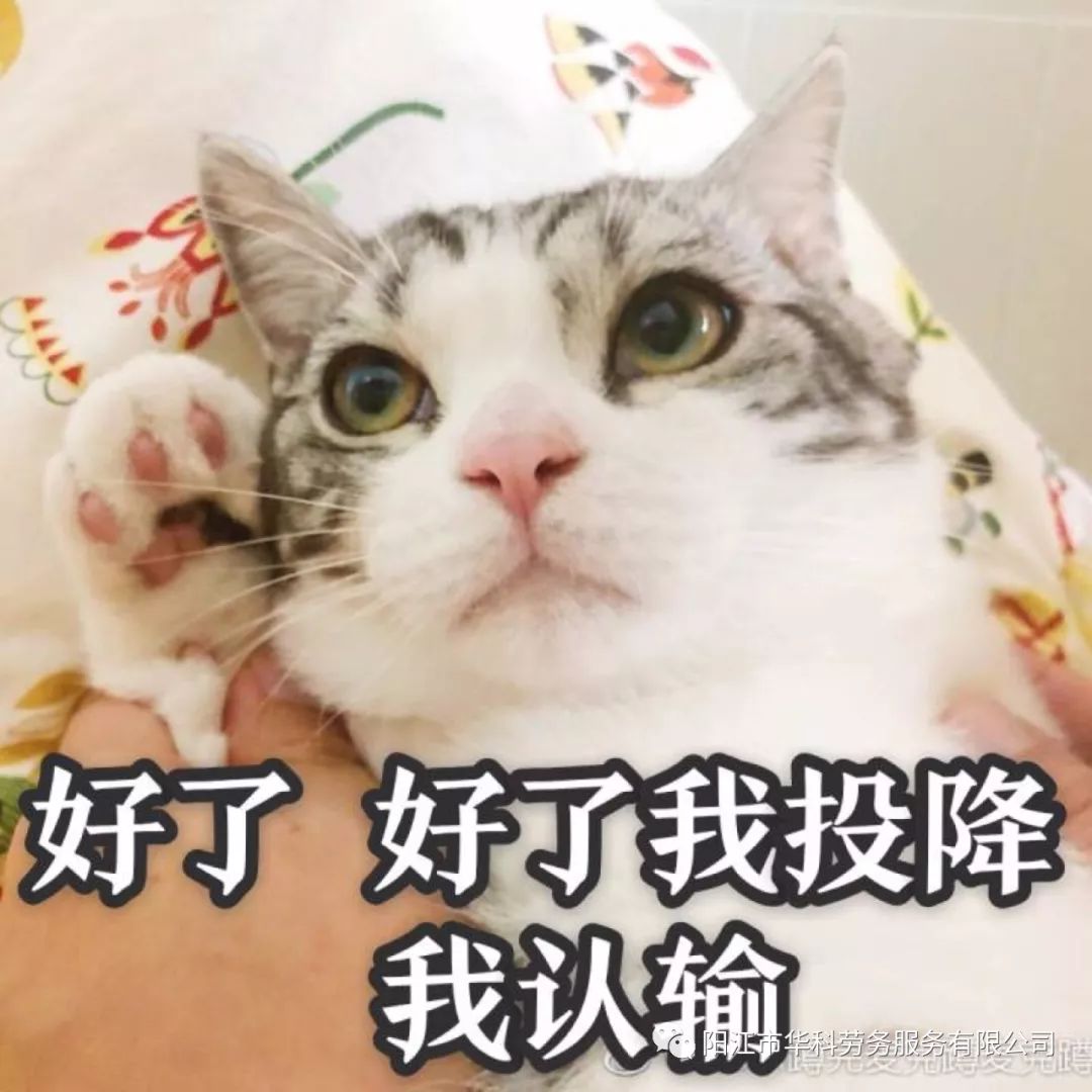 工作不分贵贱,工资会分高低