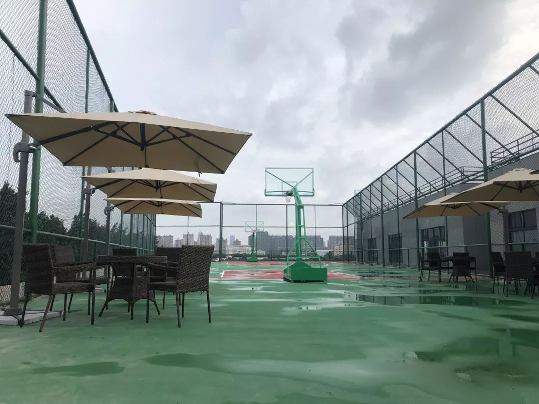 广东省最尊重,最重视复读生的画室|绝地反击,来战鑫城!