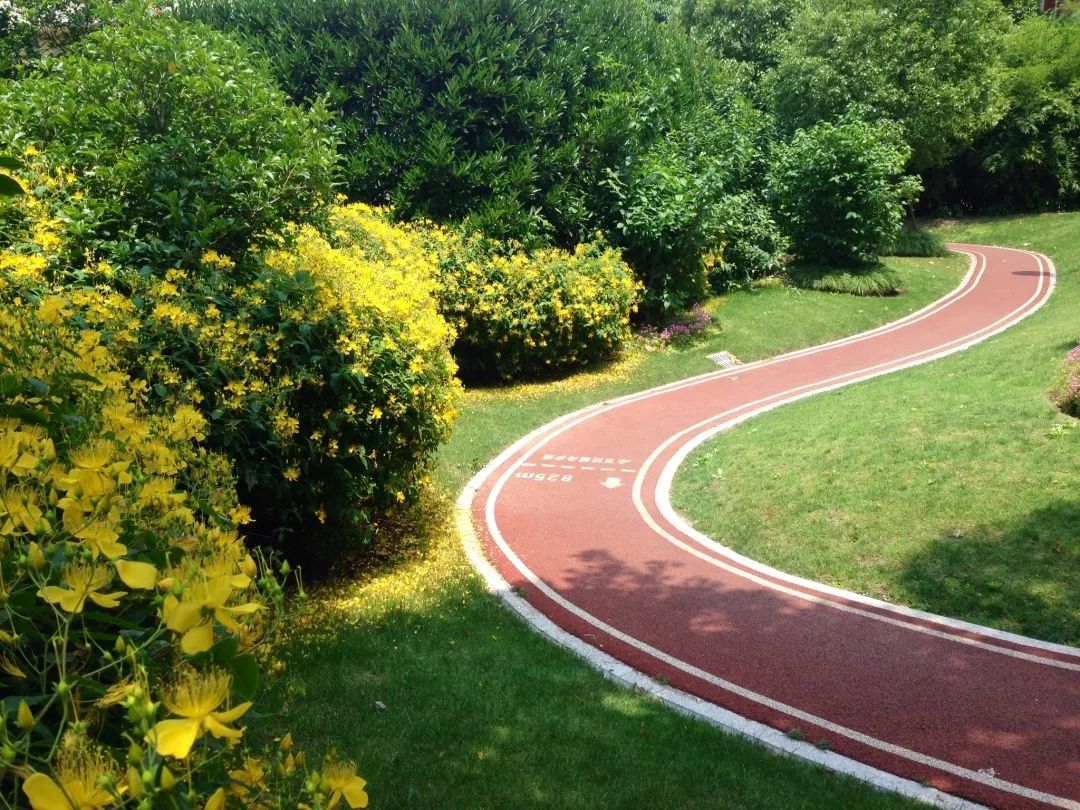 魔都最美步道滨水景观线新泾浮雕廊长宁20条健身步道等你来