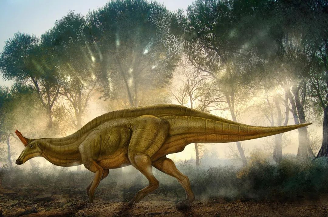 大美博物馆丨世界级标本的馆藏地:中国古动物博物馆_恐龙