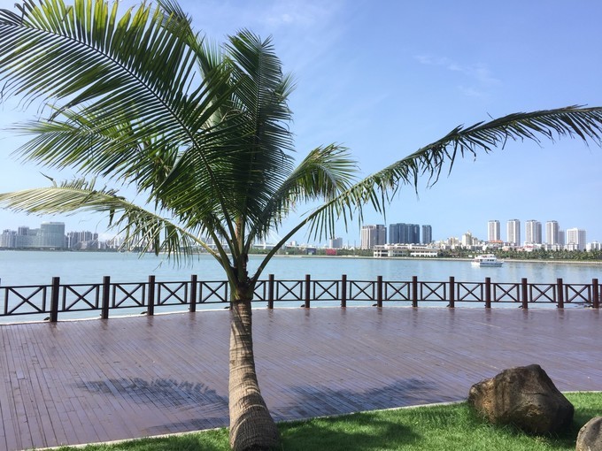 琼海市有多少人口(3)
