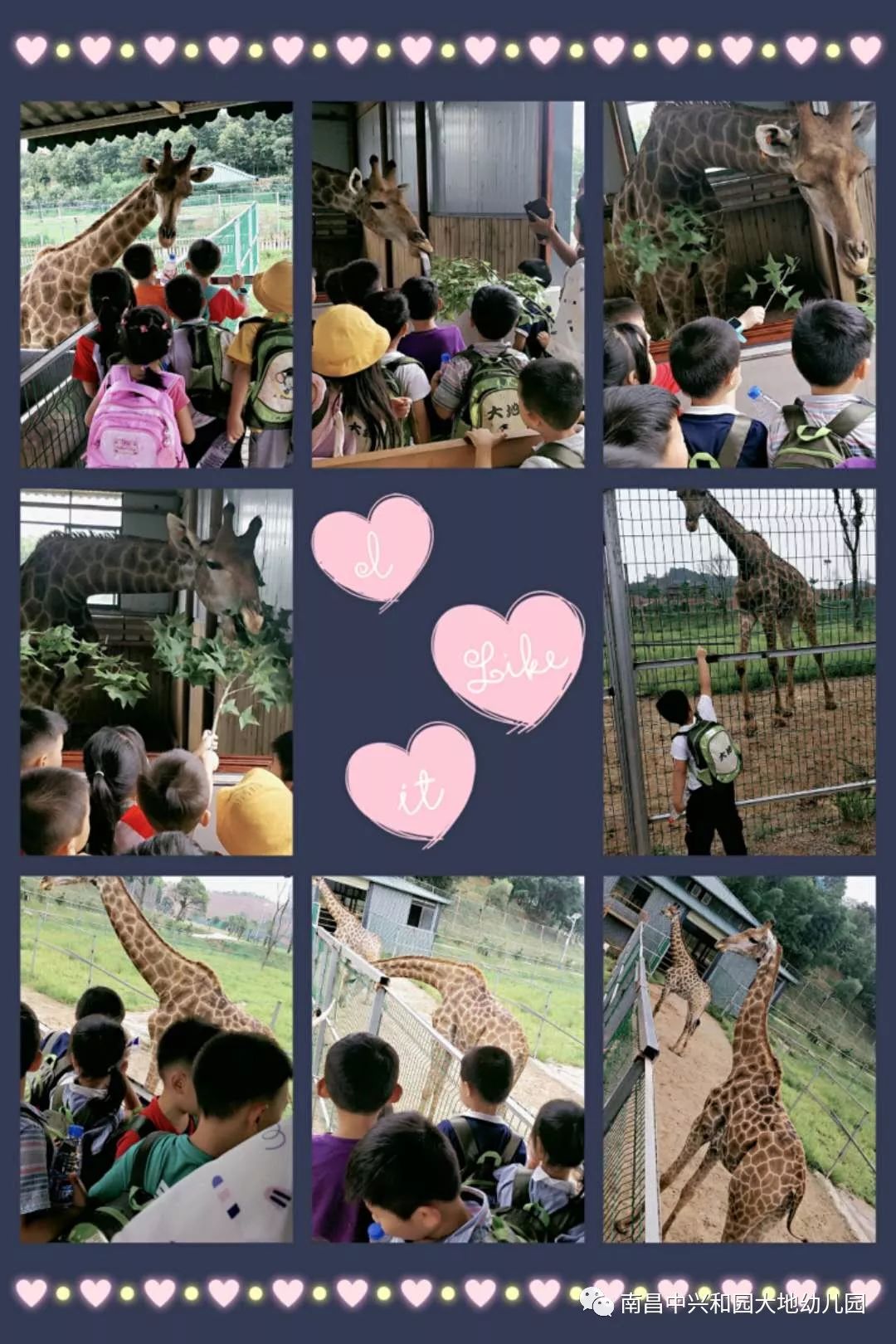 南昌中兴大地幼儿园毕业旅行圆满结束