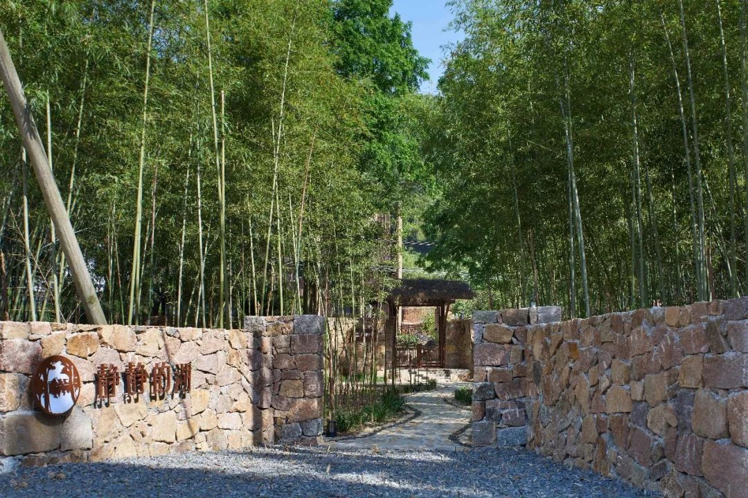 高端民宿设计建造运营考察学习莫干山第36期