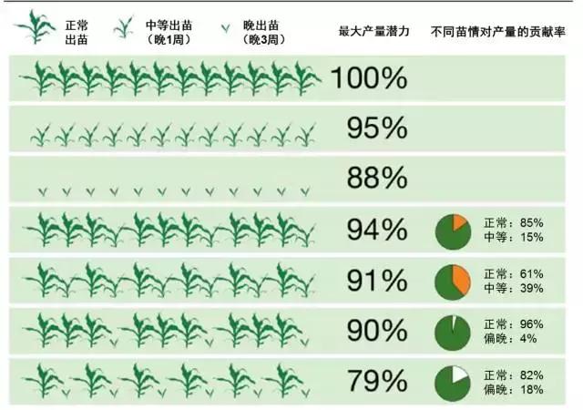 玉米种植密度对照表图片