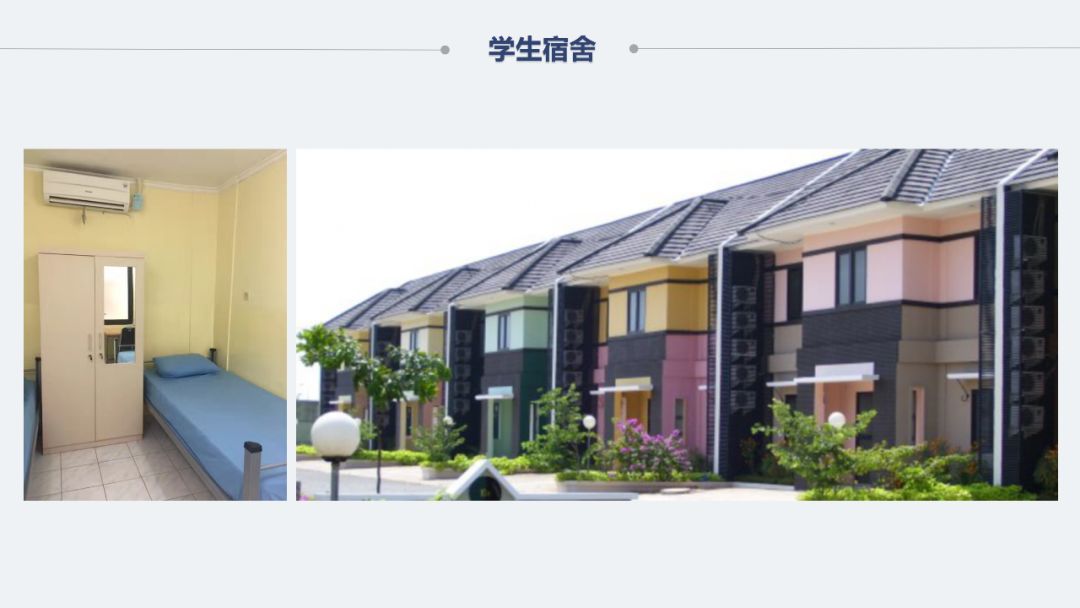 印尼总统大学2019招生简章