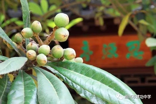 奋进建功校园 追逐活力梦想——我校举行2019届学生毕业典礼