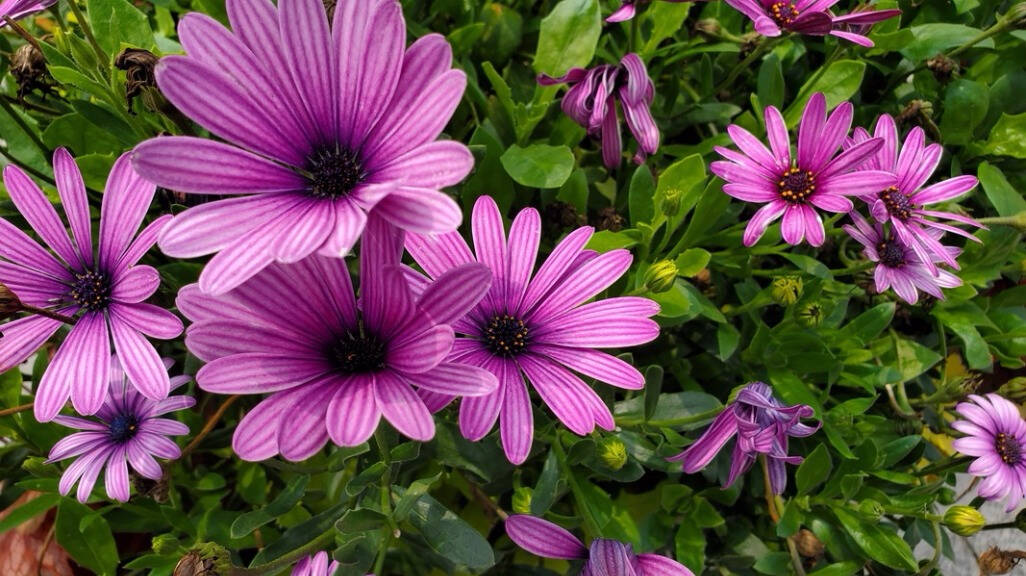 小巧而强悍三星galaxys10e手机开箱评测