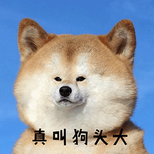 表情什么都是他们的我这胖子连脖子都没有杂图表情包