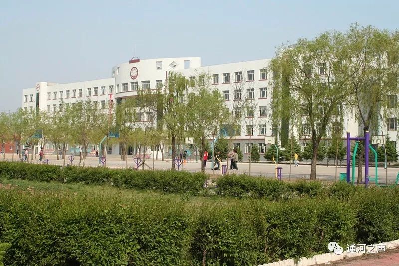 一中那抹神来之笔2019届通河一中理科高考状元