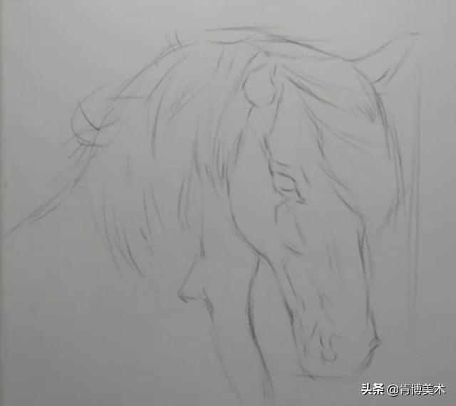 動物素描步驟教程學會這幾點初學者也覺得繪畫很簡單