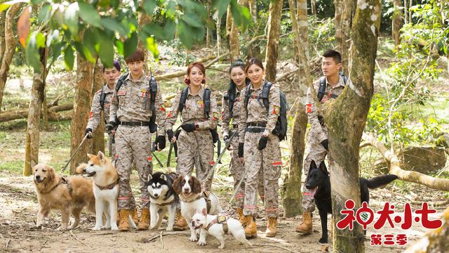 異軍突起,以萌寵與軍旅雙軌發展為路線,創作了《麻辣女兵》《神犬奇兵