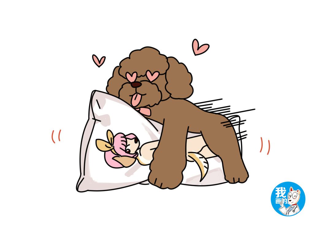 原创辟谣:狗做出不雅骑跨动作时,别急着拔拖鞋,这次不一定是羞耻