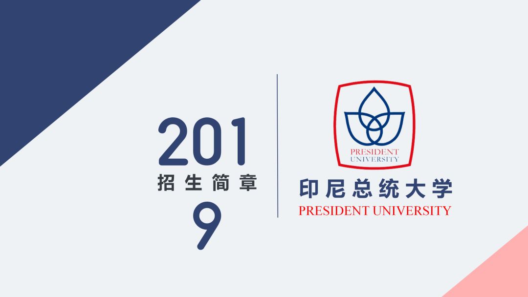 印尼总统大学2019招生简章