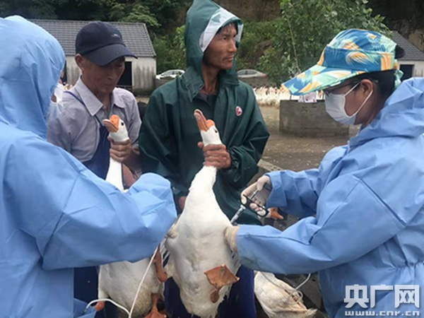 女兽医扎根基层32年 获评"人民满意的公务员"