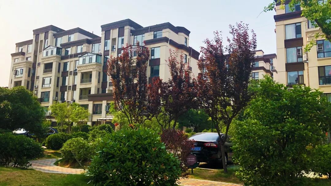 今晚霸凌业主聚众斗殴这家恶物业被临沂警方一举打掉