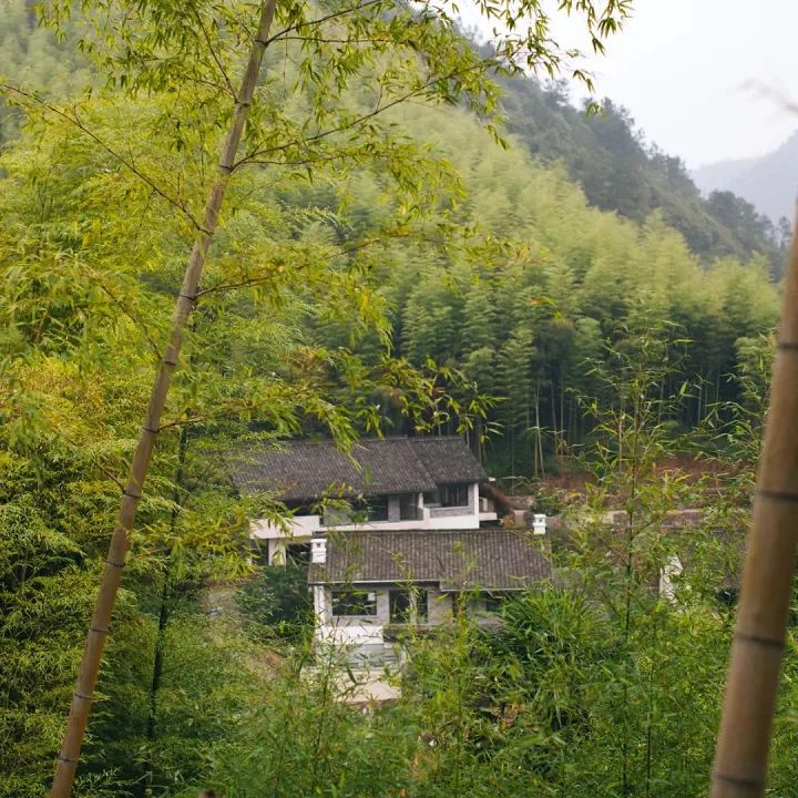 高端民宿设计建造运营考察学习莫干山第36期