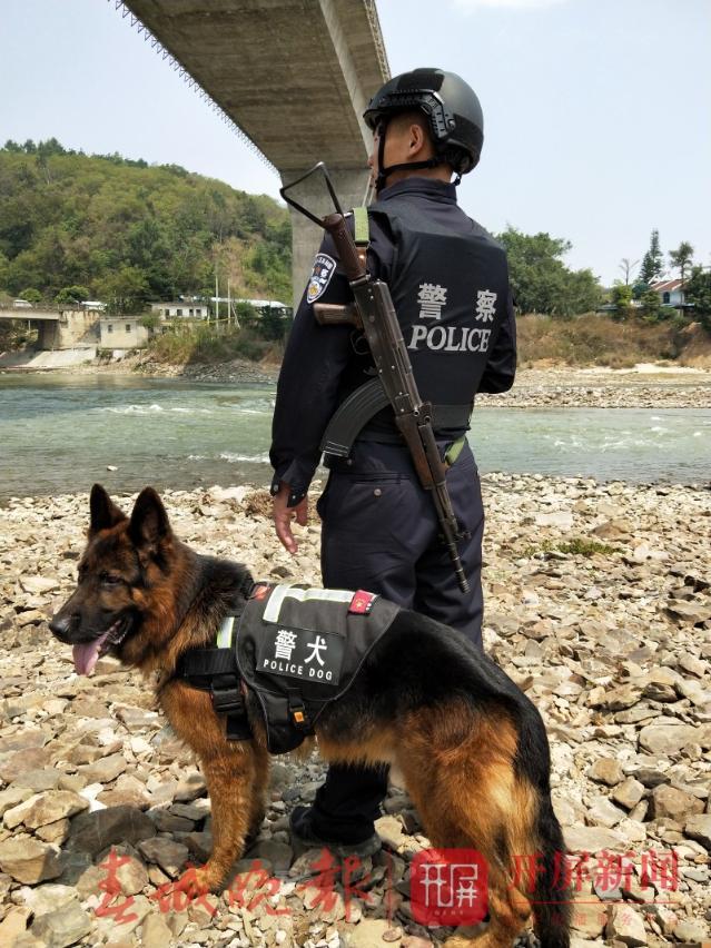 云南边境线上的神犬奇兵