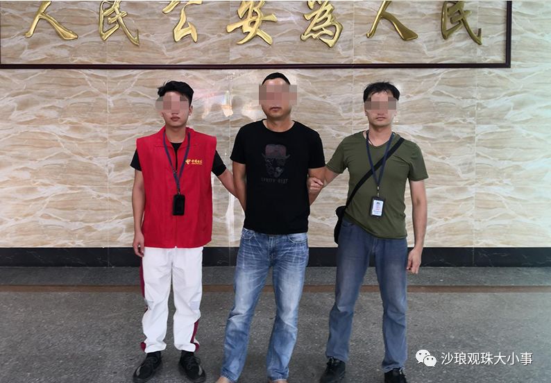 因土地纠纷,电白沙琅一村民41棵果树被人砍掉!