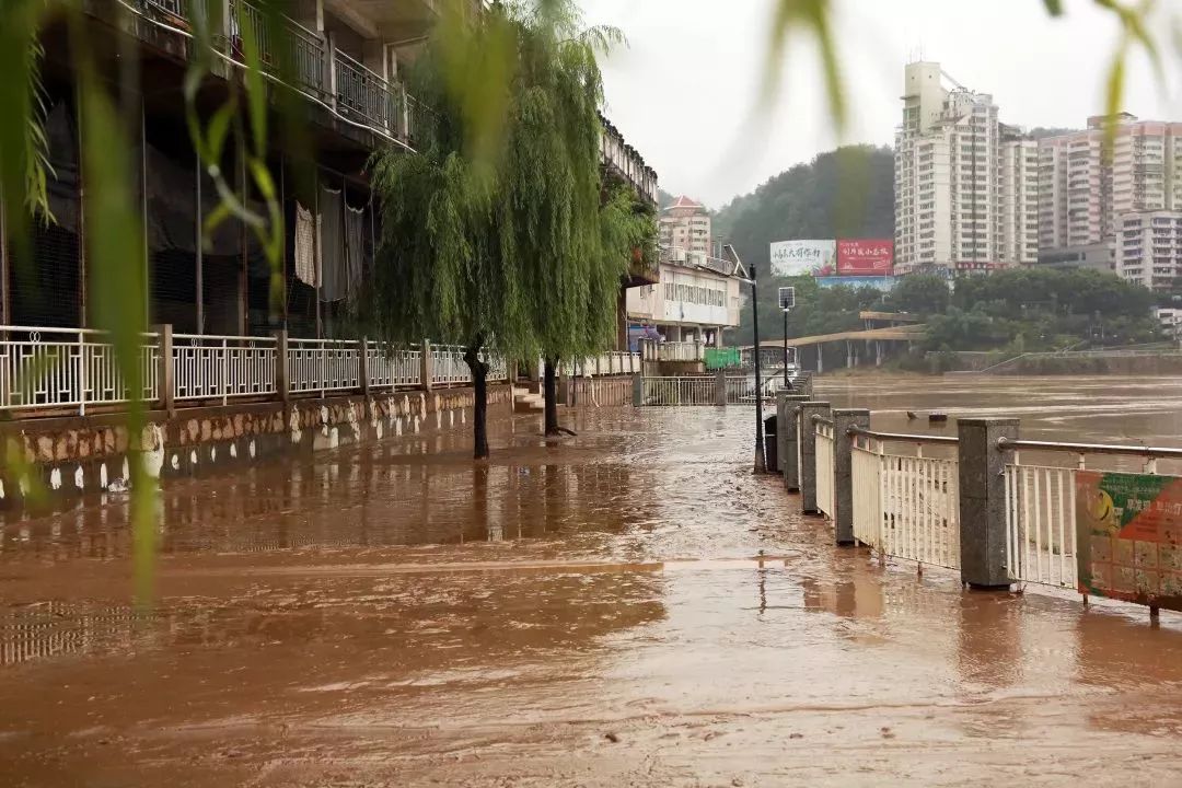 福建南平遭遇连续强降雨森林消防员紧急出动抢险救援