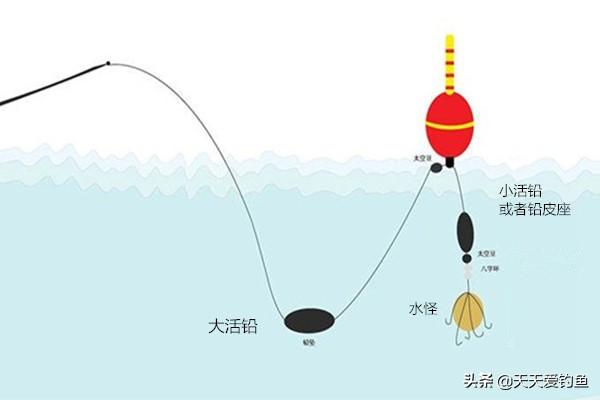 夏季抛竿水怪钓鲢鳙技巧