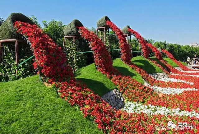 巾花,增加趣味文化,打造形象景观主轴线,时空花廊,浪漫花园,生命花树