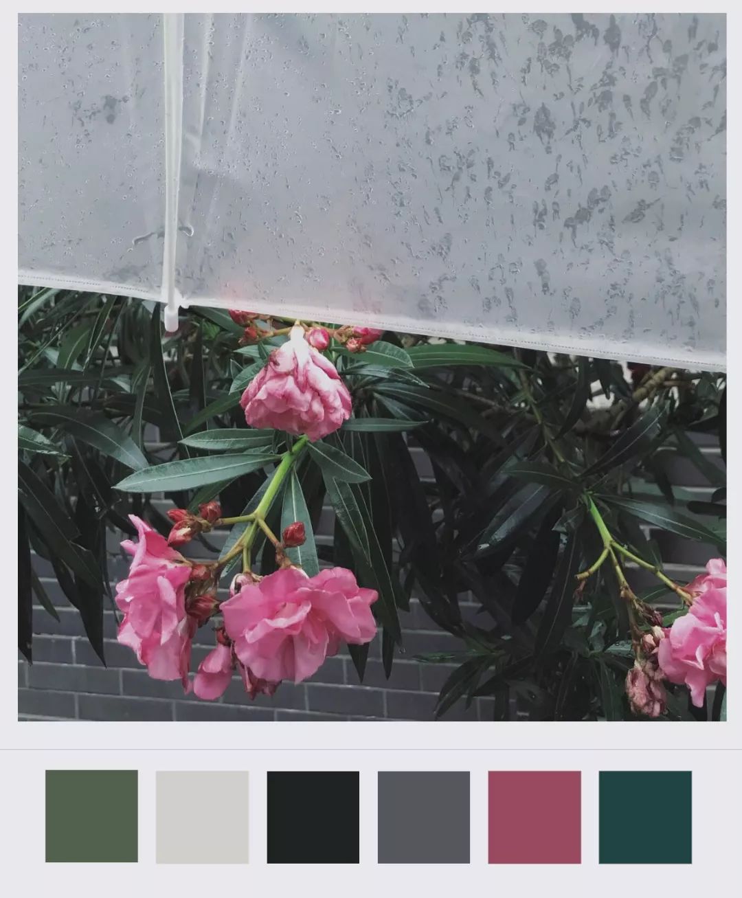 100㎡三室两厅重新布局巧用长虹玻璃分隔这个三口之家低调又谦和