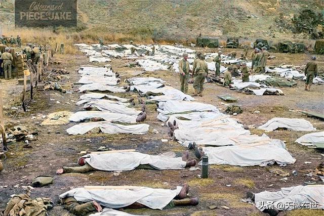 遍地的尸体可以说,诺曼底登陆作战的胜利完全建立在血和泪的基础上,这
