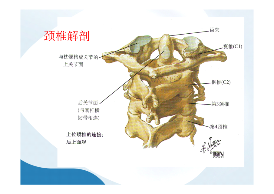 神級別的頸椎影像圖譜