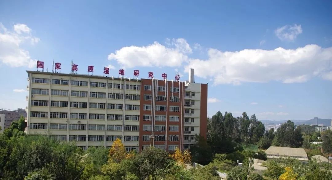 西南林业大学森林工程图片