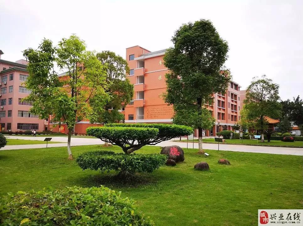 兴业高中传来高考喜报!