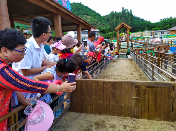 承德清河源综合旅游度假区萌宠乐园盛大开幕_盛典