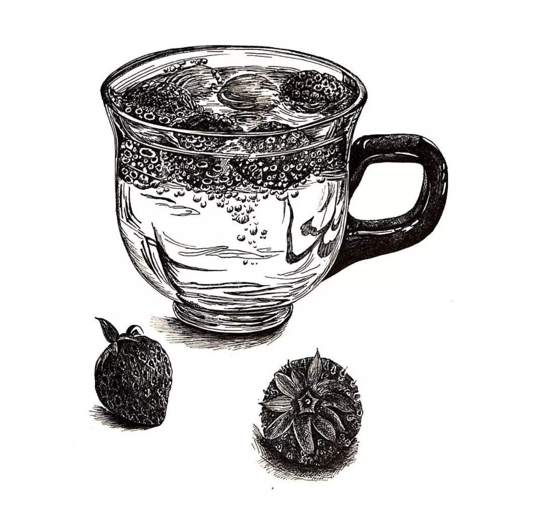 针管笔手绘 | 炎炎夏日,来杯冷饮