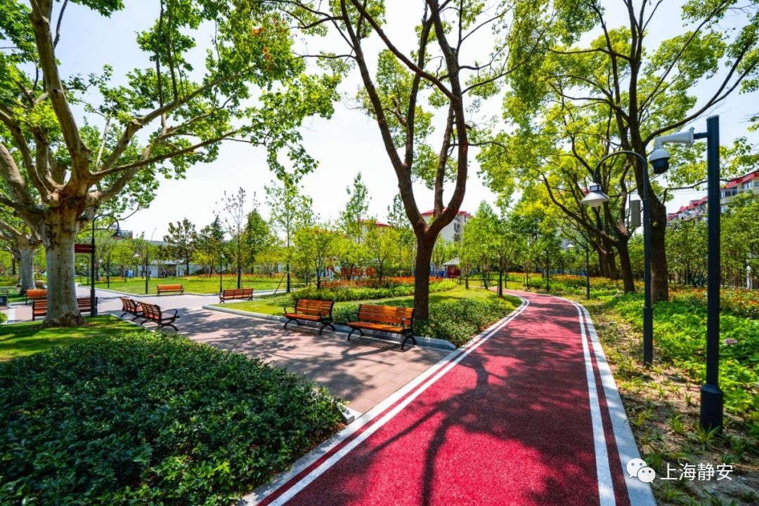 盘点55条健身步道绿道全搜罗看看你家附近有几条