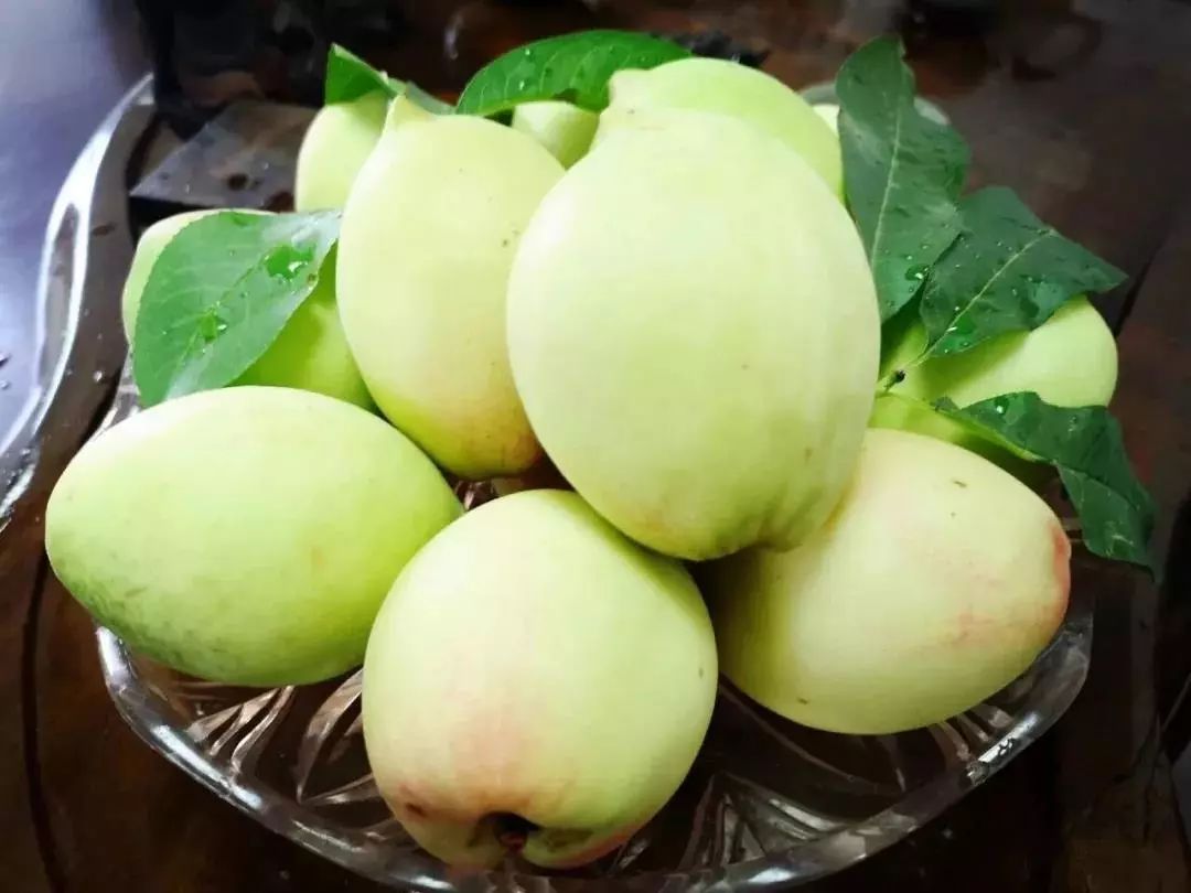 假装是一个没有灵魂的副标题贰等你来摘桃大赛,品桃盛宴吃桃大赛潘青