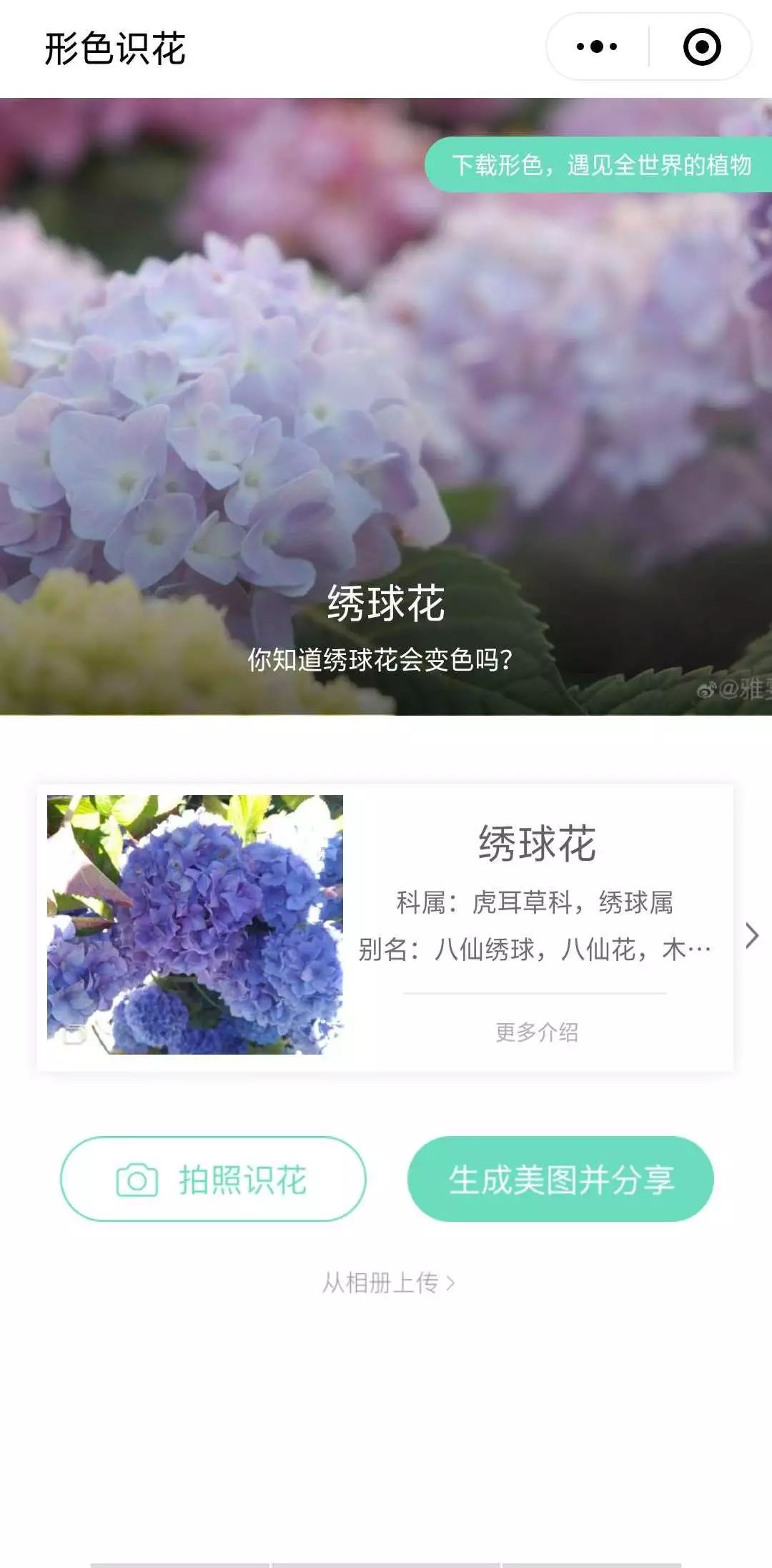 交流花卉的平台(交流花卉的平台是什么)