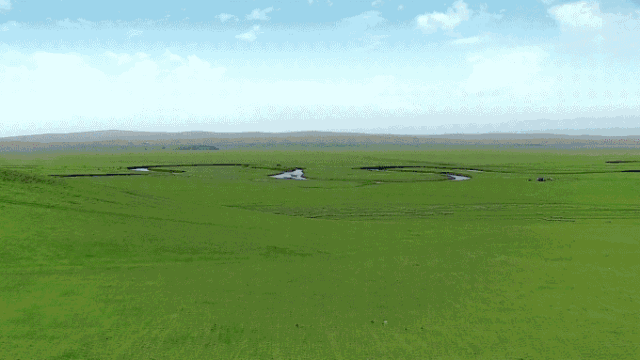 最美时节遇见你呼伦贝尔大草原