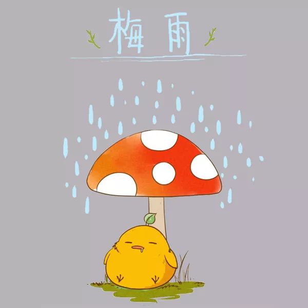 梅雨季节除了霉菌还要小心它