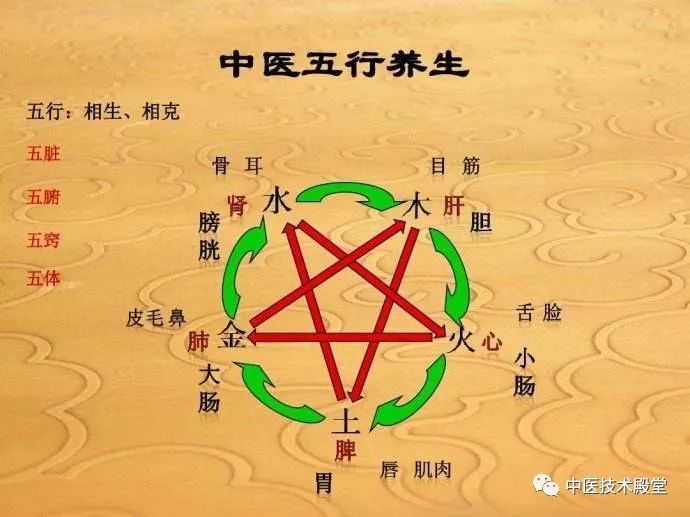 中医学讲“五行、五气、五脏、五味、五色”_器官