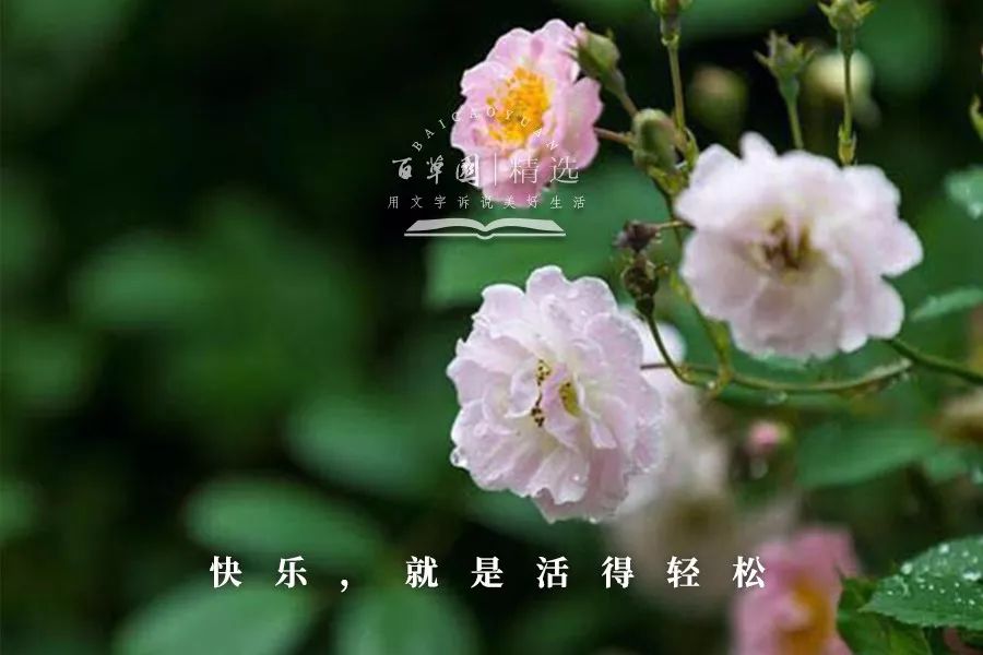 散文:快乐,就是活得轻松