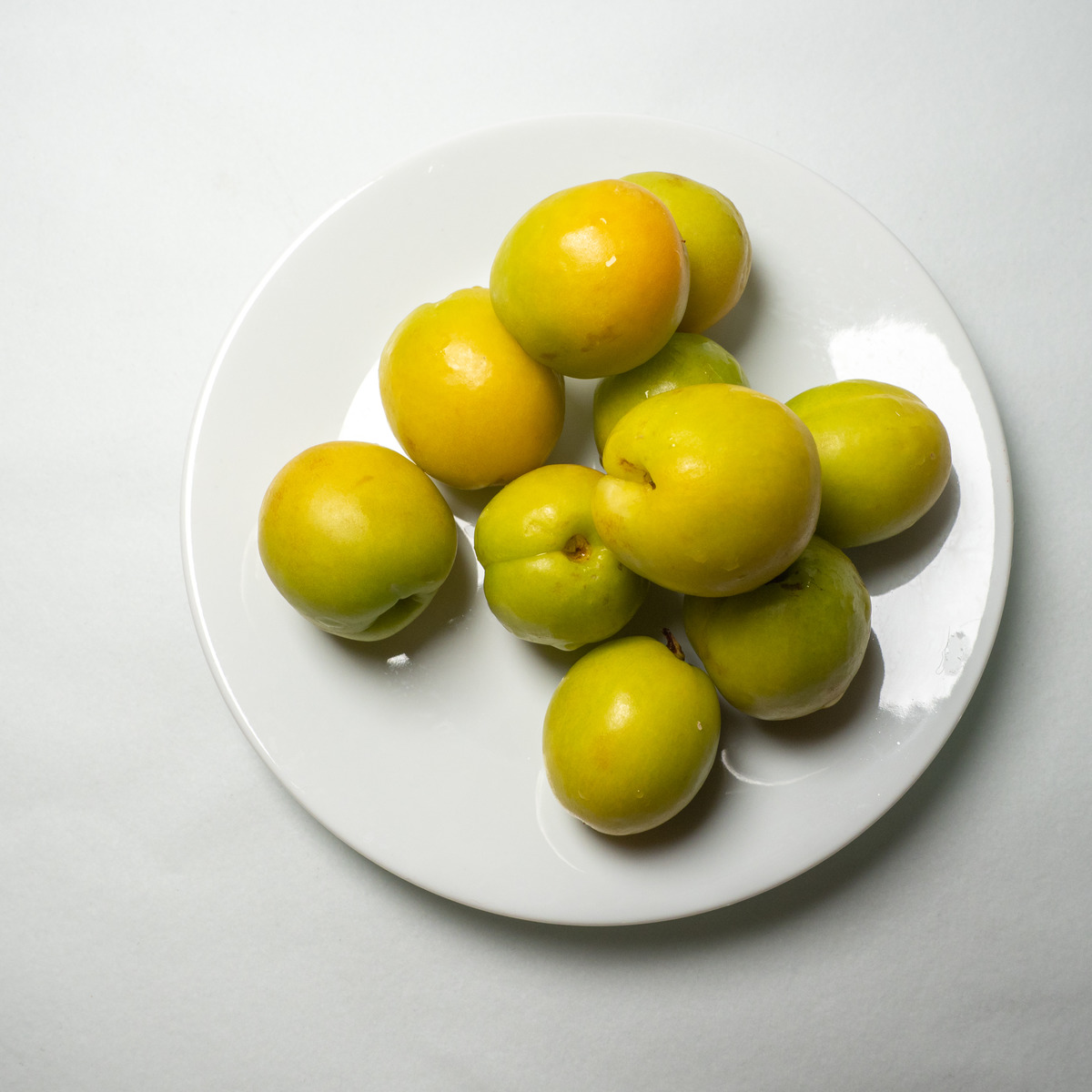 图虫静物摄影新疆小白杏