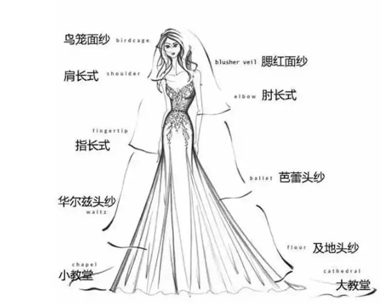 唐艺昕张若昀婚纱照首曝光明星新娘都是这样选头纱