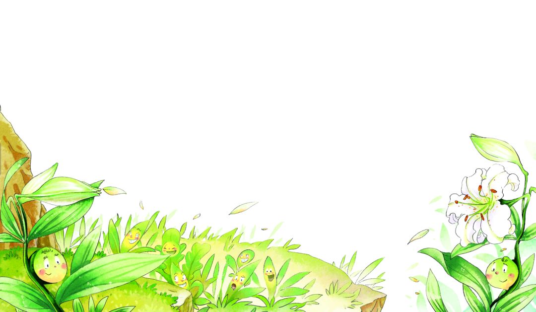 蜗牛故事绘自信的百合花