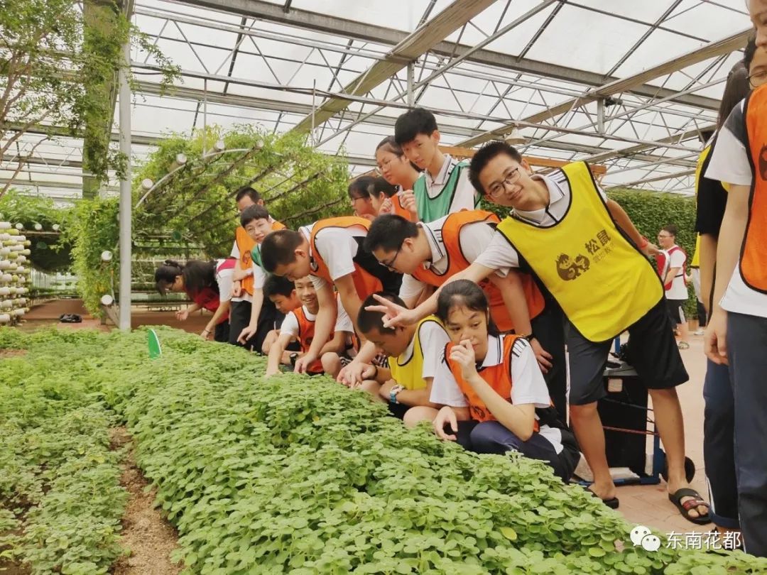 农业科普基地全国中小学生环境教育基地全国中小学生研学实践教育基地